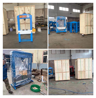 Presse Hydraulique Pneumatique 20T 30T 50T 80T 100T, Presse d'Atelier Hydraulique de 100 Tonnes