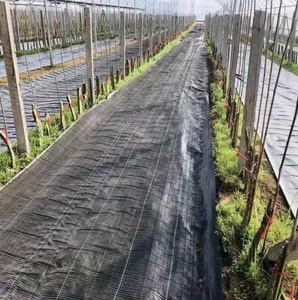 Membrana tejida de PP PE, cubierta de tierra, malla, estera de malezas, Rollo, Anti hierba, Control de malezas, <span class=keywords><strong>bloqueador</strong></span> de tela, película de mantillo - Product Image 5