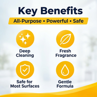 Détergent Nettoyant Tout Usage 2L Prix de Gros Formule Personnalisée Nettoyant Multi-usages Puissant