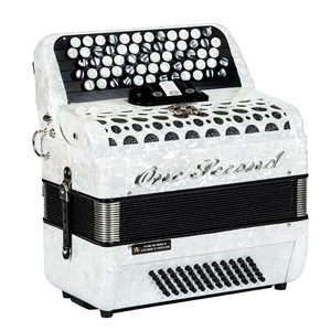 Vente directe usine : Accordéon en bois Bayan pour enfants et adultes - Modèles 120/96/60 basses, Piano portable, Livraison directe transfrontalière - Product Image 2