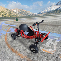 Go Kart Deportivo para Adultos y Adolescentes, con Tracción de Cadena, Motor de Gasolina de 4 Tiempos, para Parques de Diversiones