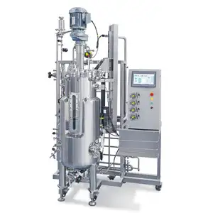 Fermenterbier Dat Een Bioreactor Opzet Voor De Eiwitproductie In Gist, Autoclavable Fermentor