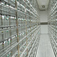 Système de culture hydroponique automatisé Seedafarm pour fourrage en conteneur, avec contrôle environnemental intelligent, modèle de production annuelle en usine de plantes