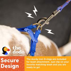 Le harnais pour animaux de compagnie Step-in Style pour chiens, rayé, grand - Product Image 4