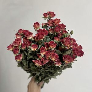 Bouquet de roses séchées multi-têtes, roses naturelles cuites, pour décoration de salon, table de mariage, cadeaux - Product Image 2