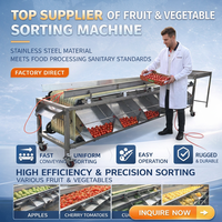 Volledig automatische sorteermachine voor lychee fruit en groenten met multifunctionele 220V/380V aansluiting en 1 jaar garantie