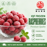 Bulk IQF Diepvries Fruit Diepvries Frambozen Hele A-kwaliteit Exportkwaliteit voor Fabrieken