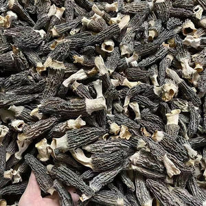 <span class=keywords><strong>Prix</strong></span> des champignons <span class=keywords><strong>morilles</strong></span> noirs séchés naturels en vrac - Product Image 6