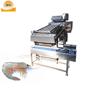 Máquina pequeña <span class=keywords><strong>de</strong></span> eliminación <span class=keywords><strong>de</strong></span> conchas <span class=keywords><strong>de</strong></span> camarón fresco, cabezal <span class=keywords><strong>de</strong></span> Peeling <span class=keywords><strong>de</strong></span> Camarón, máquina <span class=keywords><strong>de</strong></span> eliminación <span class=keywords><strong>de</strong></span> conchas, <span class=keywords><strong>precio</strong></span> <span class=keywords><strong>de</strong></span> venta - Product Image 3