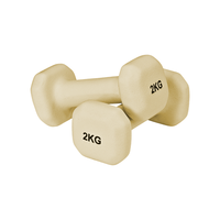 Haltères de fitness personnalisés en fonte, haltères carrés en gros, poids de main pour la gym, haltères en néoprène, poids libres pour Pilates