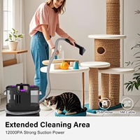 Nettoyeur de tapis électrique à vapeur portatif, machine de nettoyage des tissus, aspirateur humide et sec