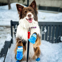 Bottes de luxe en silicone pour chiens avec sangles, chaussures antidérapantes d'extérieur pour petits, moyens et grands chiens, vente en gros, motifs imprimés été et hiver