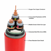Câble d'alimentation industriel blindé SWA, isolant LSZH XLPE, conducteur en cuivre pur, blindage métallique, 0,6/1 kV, enterrage direct, IP65