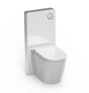 الحمام الطابق الدائمة دش المرحاض الإلكترونية قطعة واحدة اليابانية المرحاض مقعد OEM مشطفة مرحاض ذكية