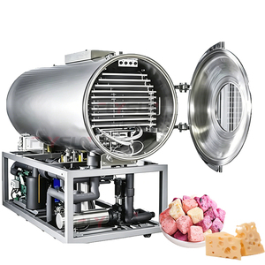 Machine de lyophilisation alimentaire économique, équipement de séchage sous vide adapté au fromage, aux bouchées de yaourt et aux autres produits laitiers - Product Image 1