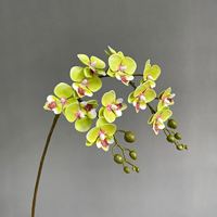 Tanaman Anggrek Buatan HGA Wholesale, Phalaenopsis Palsu dengan Buah untuk Dekorasi Vas di Lobi Hotel dan Ruang Tamu