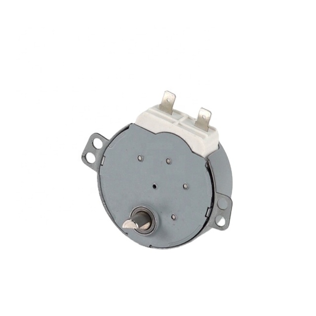 High Efficiency 2.5/3RPM 4W Single-Phase Synchronous AC Electric Motor 60Hz 60Hz Microwave Oven Explosion-Proof Model 49TYJ