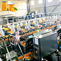 ENAK Beste Fabrieksprijs Industriële Productielijn voor Geblikte Fruit (Sinaasappel, Mandarijn, Citrus)