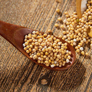 1kg di cina sfuso semi di senape bianca cruda per le spezie - Product Image 2