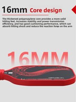 Papan Pickleball Profesional Serat Karbon Influence T800 Set Lengkap Hot Press Elastisitas Tinggi Disetujui USA Tebal 20mm Model Snake