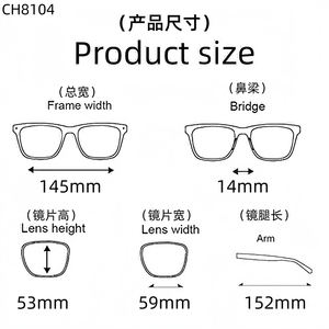 CH8104ラージフレームチタングラス奇妙な形のステートメント接眼レンズ男性女性人気のブロガーインターネットセレブ読書読む - Product Image 6