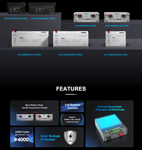 Batterie lithium-ion 51,2 V 100 Ah de notre usine avec 18 ans d'expérience, pour systèmes solaires 48 V 100 Ah 5 kW 6 kW 10 kW, pack de batteries LiFePO4 48 V 100 Ah - Product Image 4