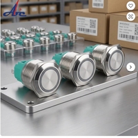Tombol daya tahan air, 12/16/19/22mm tombol LED melingkar datar, tombol mengunci sendiri tombol lift logam 220v
