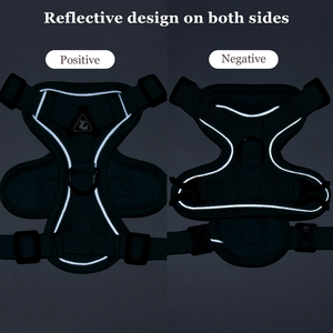 Breathable Reflective Adjustable Nylon Mesh Cat Puppy Pet Walking <b>Harness</b> Vest and Leash Set for Small Medium Dogs - Product Image 2