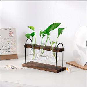 Desktop Hydroponic Glass Vase With Wooden And Iron <b>Frame</b> For Pothos <b>Plant</b> Display Home Decor - Product Image 2