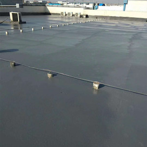 Pulvérisation de polyurée imperméable Revêtement de polyurée sans pollution pour les toits extérieurs - Product Image 6