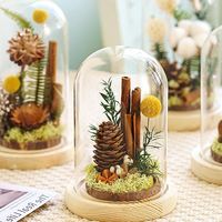 Vente en gros de fleur immortelle fleur séchée couverture en verre spécimen de plante décoration de la maison Mori est accompagné de cadeaux