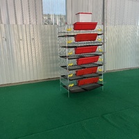 Cages à Cailles de Type H pour Volaille à Longue Durée de Vie en Vente