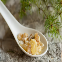 Encens naturel à base d'herbe de frankincense, Boswellia serrata pur séché pour les pratiques traditionnelles, les remèdes à base de plantes, l'aromathérapie