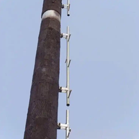 Tour Bionique pour Télécommunications avec Composants Modulaires, Systèmes de Gestion des Câbles Intégrés et Installation d'Équipements de Télécommunications Optimisée