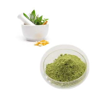 Gingko สารสกัดจากผง24% flavonoids ที่6% terpene lactones - Product Image 5