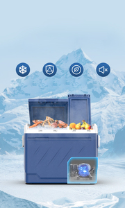 2023 nouveauté ZA55L DC <span class=keywords><strong>12V</strong></span> AC <span class=keywords><strong>220V</strong></span> Portable électrique maison <span class=keywords><strong>Camping</strong></span> réfrigérateur réfrigérateur Portable voiture congélateur - Product Image 6