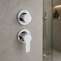 Robinet de salle de bain mural en laiton poli, mitigeur chaud/froid à poignée unique, valve en céramique, design contemporain