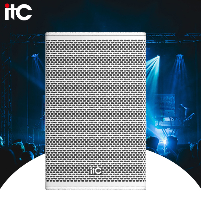 Professional 450W 8 Mid-Low Frequency Two-Way Concert Surround Sound Speaker White Color Portable Eco-Friendly Durable 3-Year