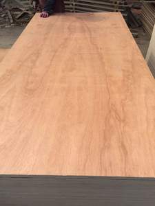 Panneau <span class=keywords><strong>de</strong></span> contreplaqué 4x8 <span class=keywords><strong>3</strong></span>/4 pouce contreplaqué en acier pour coffrage - Product Image 3