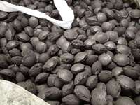 Briquettes de silicium, billes de silicium Si 50-65 10-50mm, agent d'alliage à faible teneur en impuretés pour la fabrication de l'acier, matière première pour fonderie