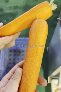 Pelador de Zanahorias Eléctrico al Mejor <span class=keywords><strong>Precio</strong></span>, Equipo para Pelar Zanahorias, Máquina para Pelar Zanahorias y Rábanos en Venta - Product Image 6