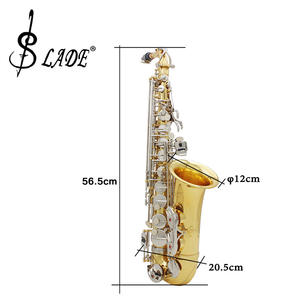 <span class=keywords><strong>SLADE</strong></span> Eb Saxophone <span class=keywords><strong>Alto</strong></span> Or Argent E Plat Tonalité Saxophone Corps En Laiton Sculpté Blanc Shell Bouton <span class=keywords><strong>Sax</strong></span> avec Étui Sangle Gants - Product Image 5