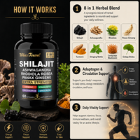 Capsules de Shilajit, Ashwagandha, Rhodiola et Ginseng pour le soutien énergétique, la vitalité, la concentration et l'endurance – Marque privée, OEM, ODM, Fournisseur d'usine