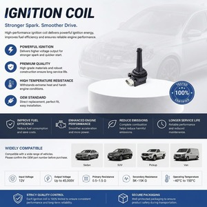อะไหล่รถยนต์ขายดีราคาส่ง คอยล์จุดระเบิดคุณภาพสูง 0221604010 สำหรับ Volvo S6 0 2.0T อุปกรณ์ตกแต่งรถยนต์ - Product Image 4