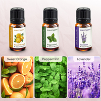 Ensemble d'huiles essentielles pures SCENTNARIO, 6 flacons de 10 ml, aromathérapie, lavande, citronnelle, menthe poivrée, orange douce, géranium, bois de santal