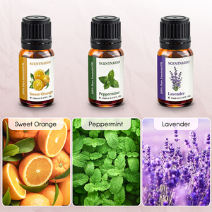 SCENTNARIO Pure <b>Essential</b> <b>Oil</b> <b>Set</b> 6 Bottles 10ml Aromatherapy Lavender Lemon Grass Peppermint Sweet Orange Geranium Sandalwood - Product Image 3