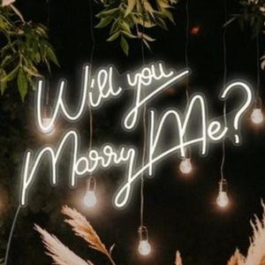 Bande <span class=keywords><strong>de</strong></span> lumières LED pour petite enseigne néon publicitaire personnalisée 12V - Product Image 5