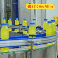 Machine de remplissage à chaud automatique certifiée CE pour jus de fruits, équipement de mise en bouteille et de bouchage de bouteilles PET pour usine de boissons