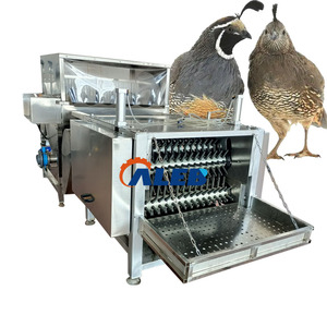 Máquina de depilación de plumas desplumadora de aves de corral de pollo más vendida - Product Image 1