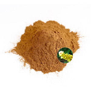 ผงใบมูลเลนบริสุทธิ์และออร์แกนิก สารสกัดสมุนไพร ผงสารสกัดจากใบมูลเลน - Product Image 1